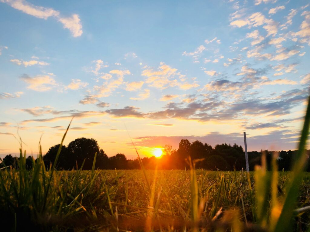 View the sunrise to break routine