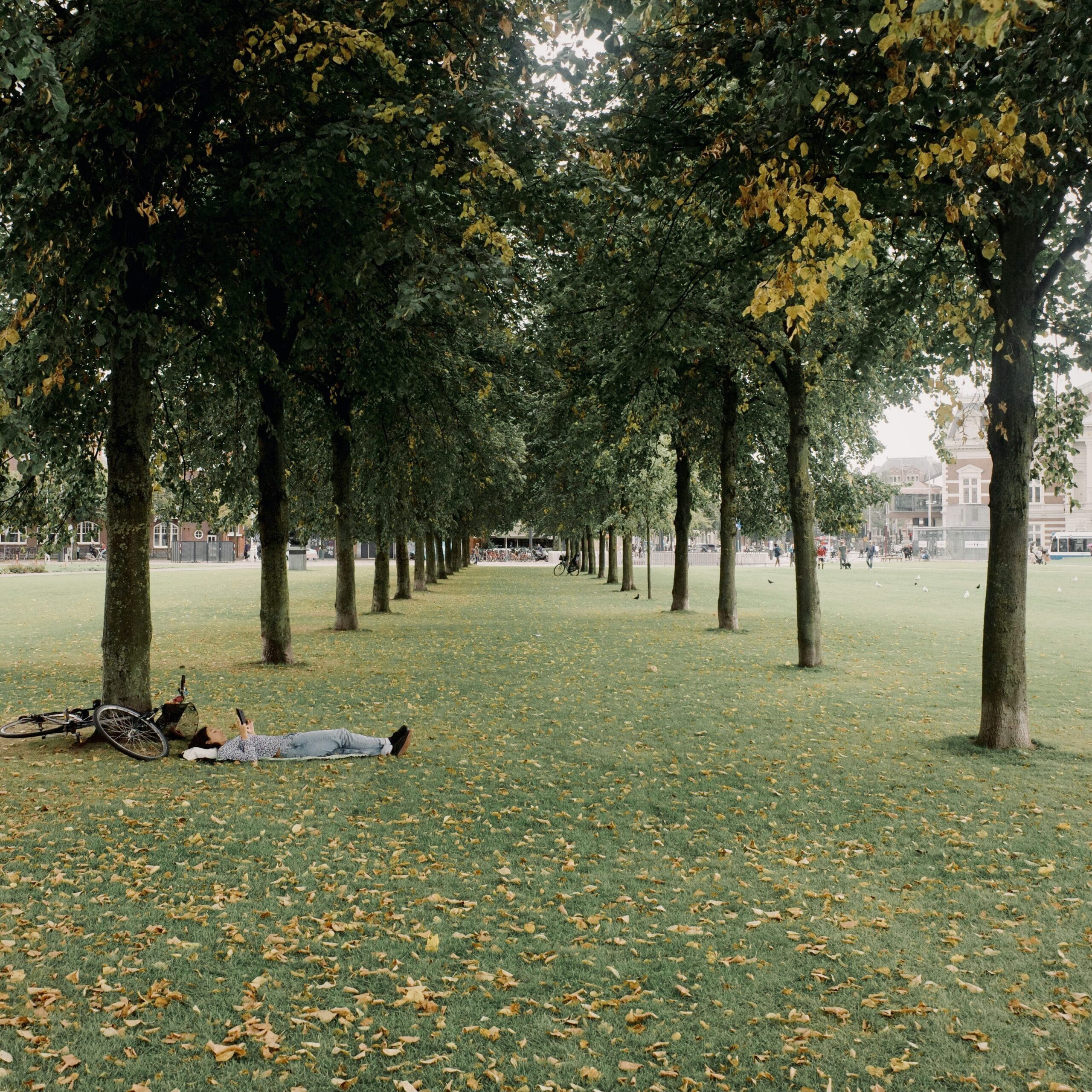 woman lying in the grass on self car day