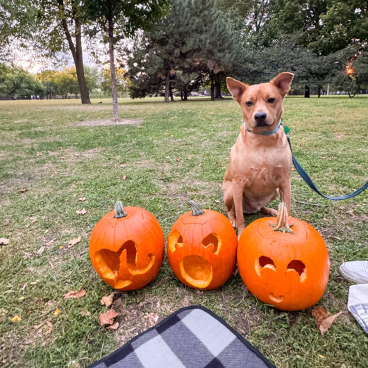 bucket list for fall