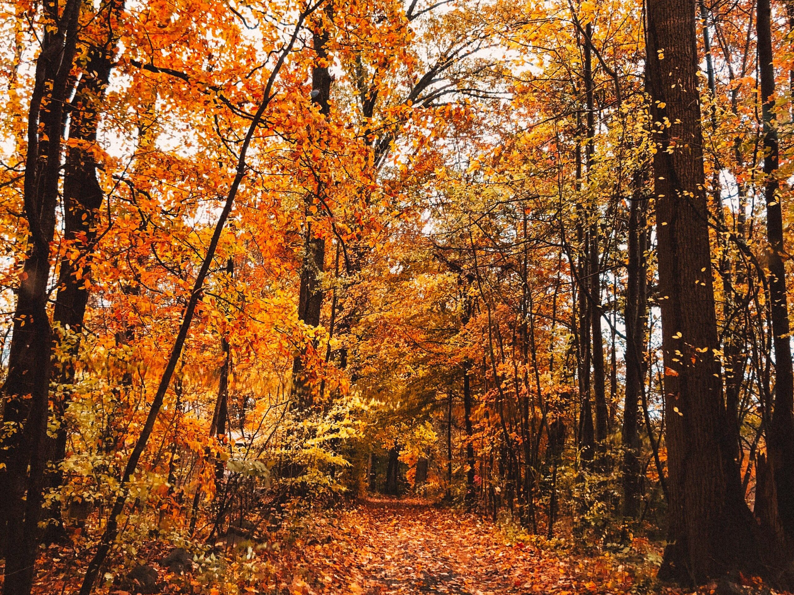 bucket list for fall