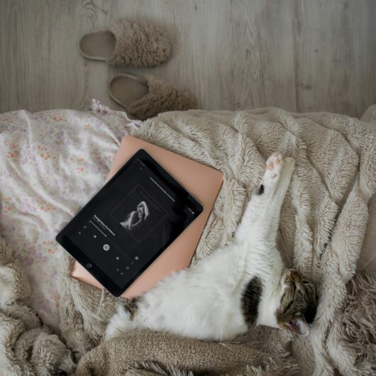 what to do on a rainy day