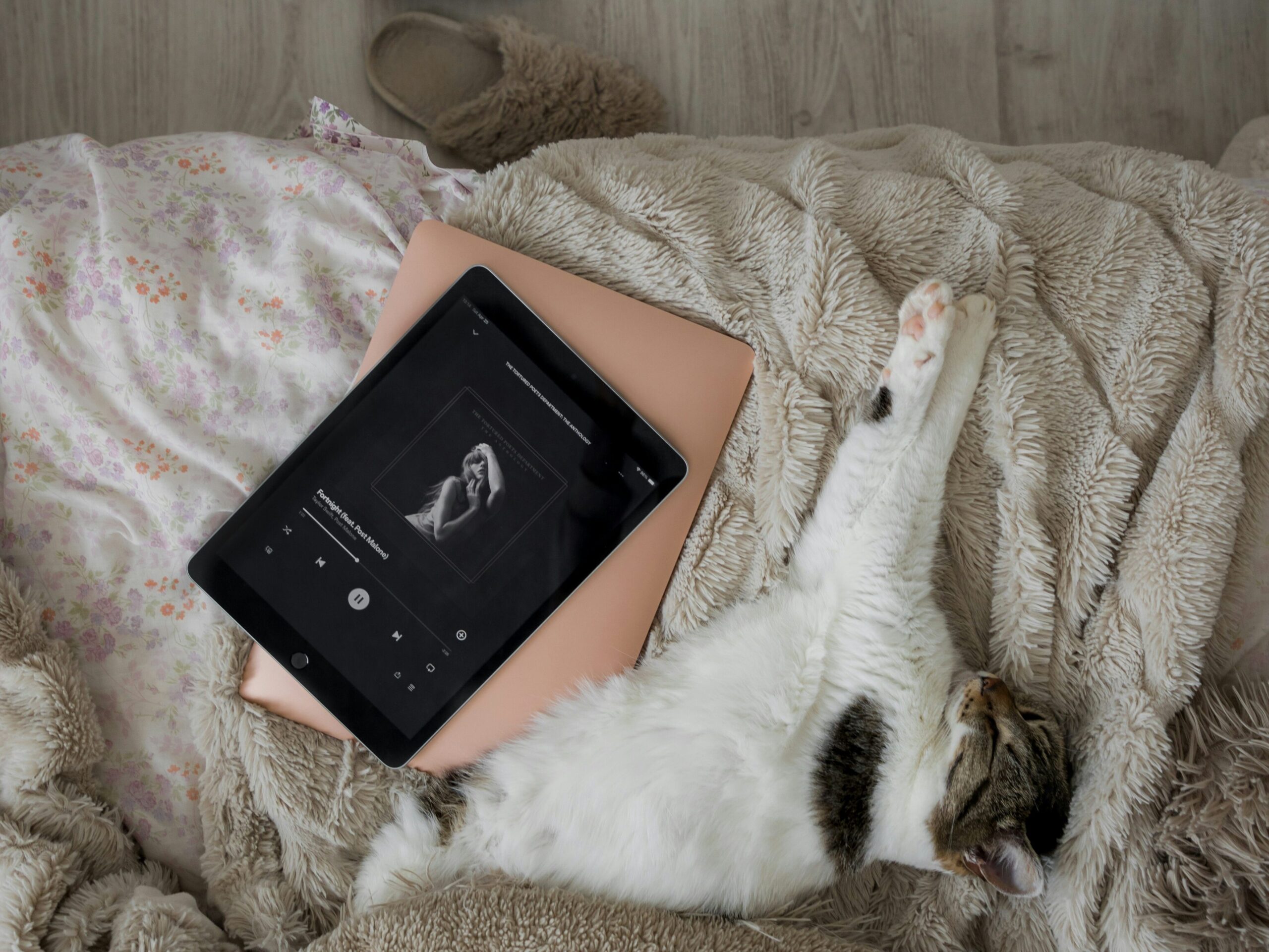 What to do on a rainy day