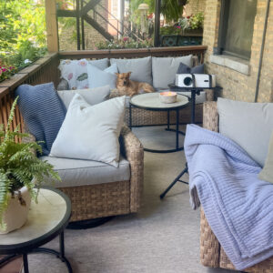 host a movie outdoors