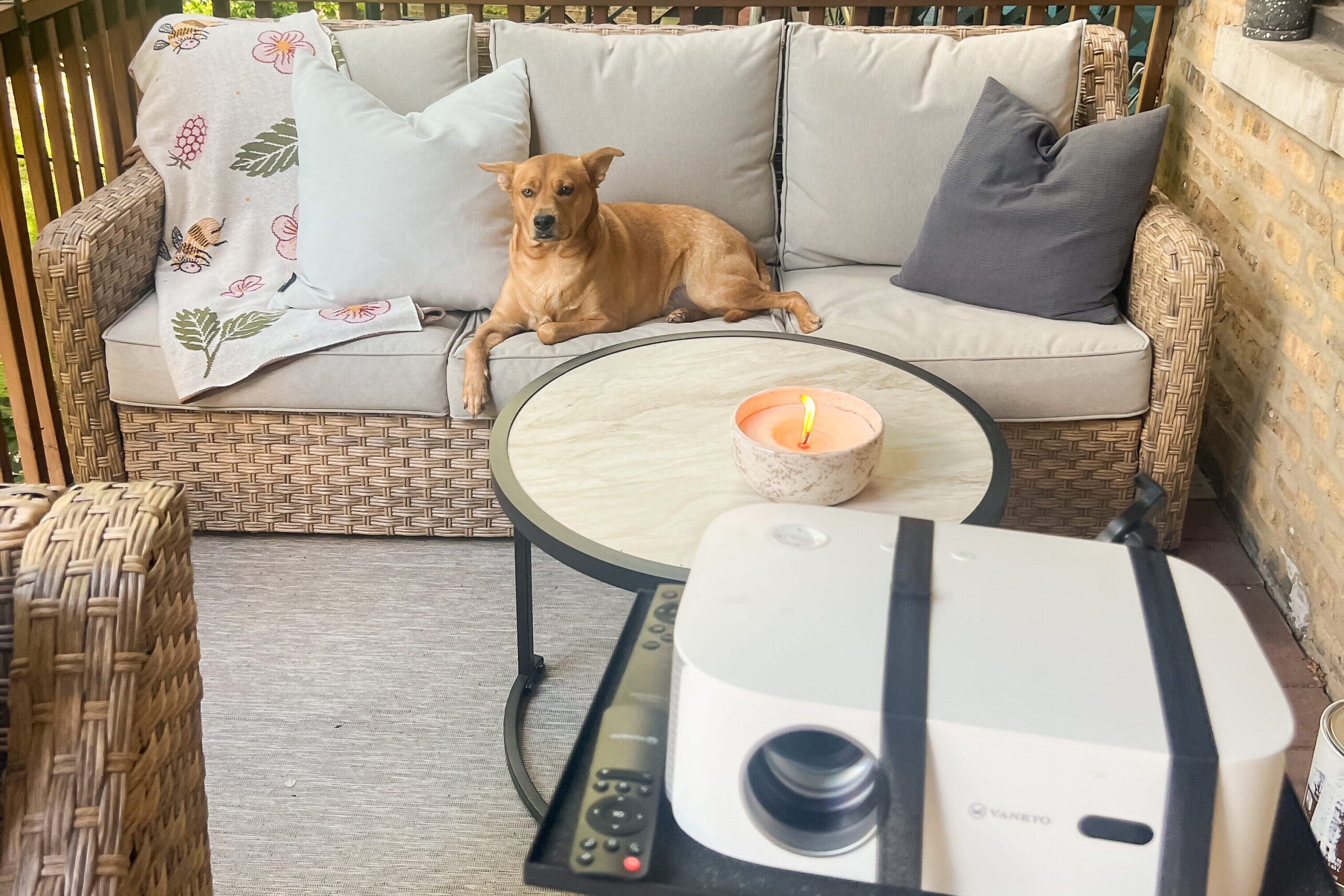 host an outdoor movie night