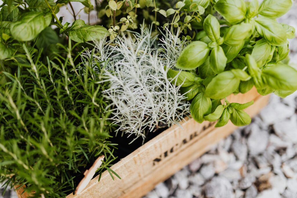 5 hobbies you need herb garden